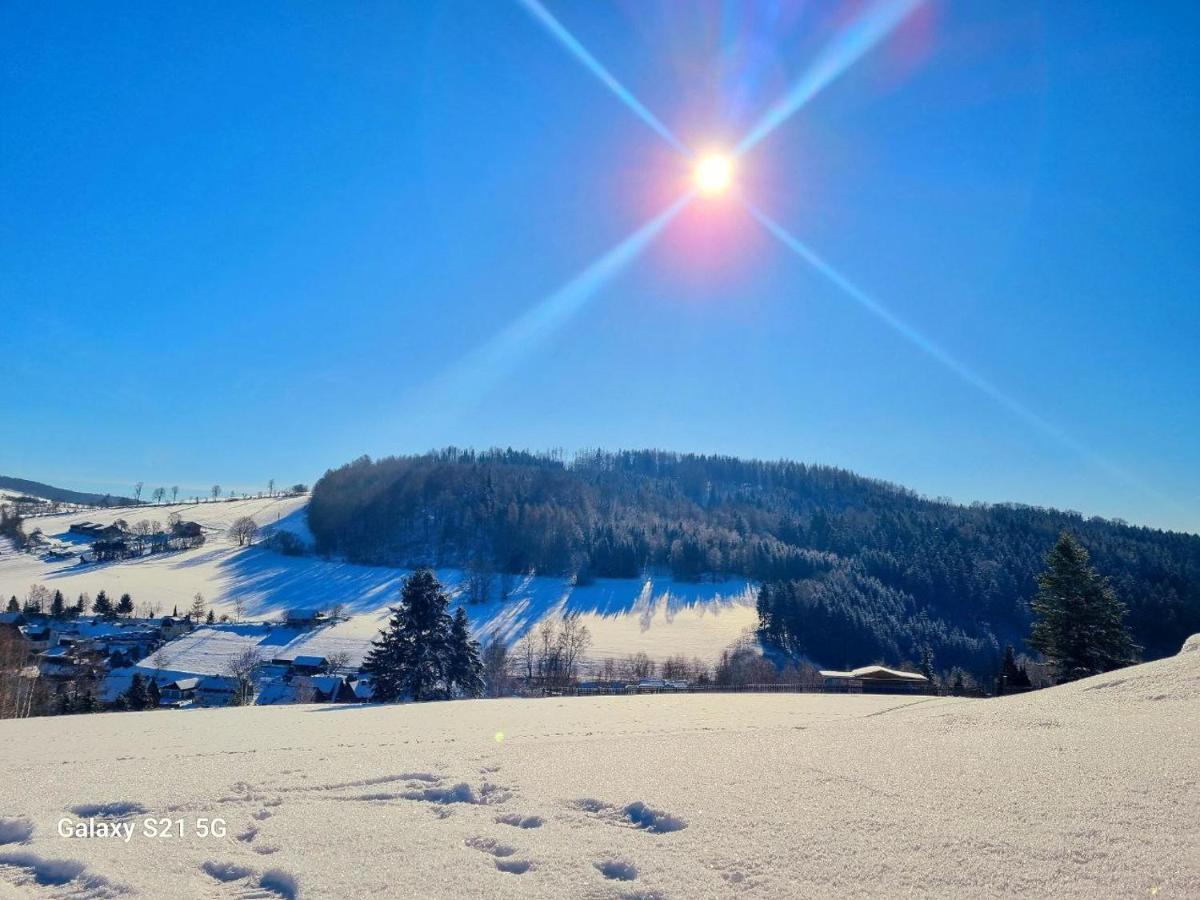 Ferienhaeuser Olbernhau Erzgebirge Екстериор снимка