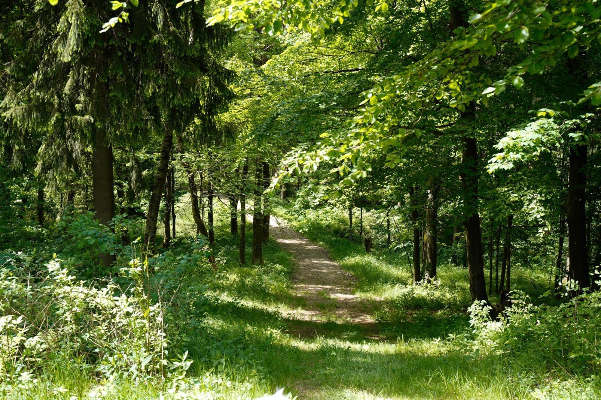Ferienhaeuser Olbernhau Erzgebirge Екстериор снимка